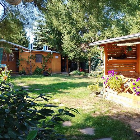Penzion Slunce Nad Vinnym Sklepem Moravská Nová Ves Exterior foto